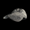 CAP 270 - Image 2