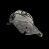 CAP 270 - Image 4