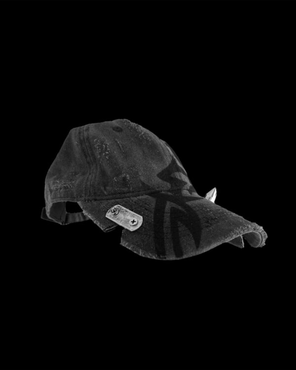 CAP 301 - Image 2