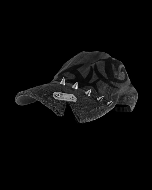 CAP 301 - Image 3