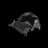 CAP 300 - Image 3