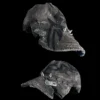 CAP 295 - Image 2