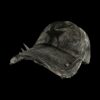 CAP 306 - Image 2