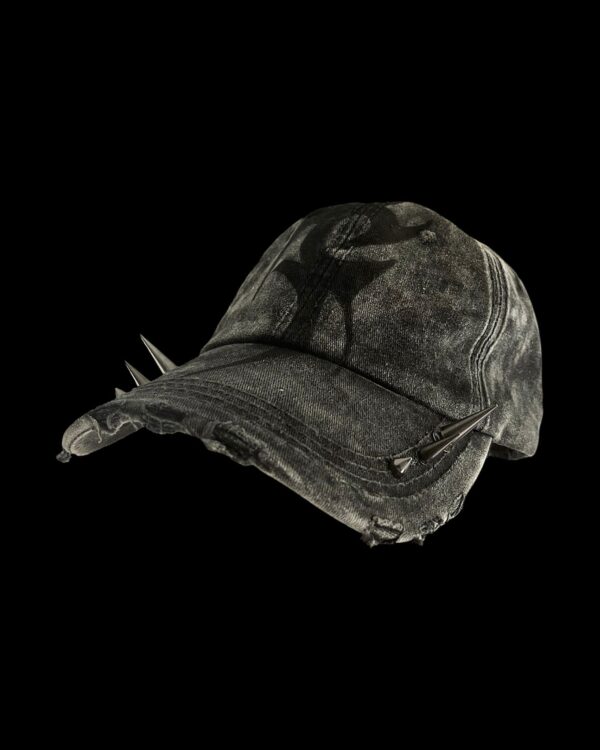 CAP 306 - Image 2