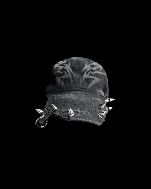 CAP 308 - Image 2